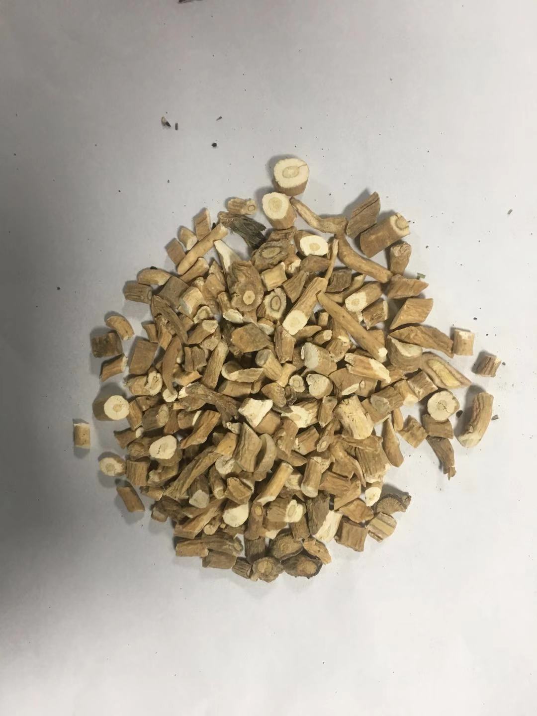 板藍(lán)根 ISATIDIS RADIX