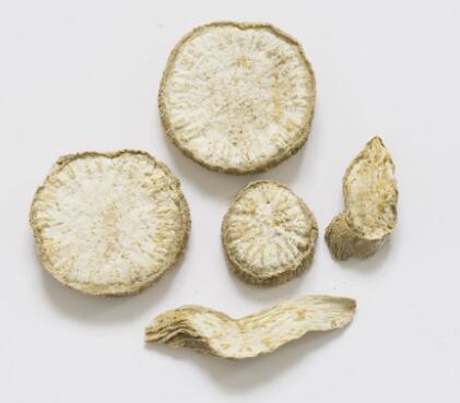 天花粉(栝樓) TRICHOSANTHIS RADIX