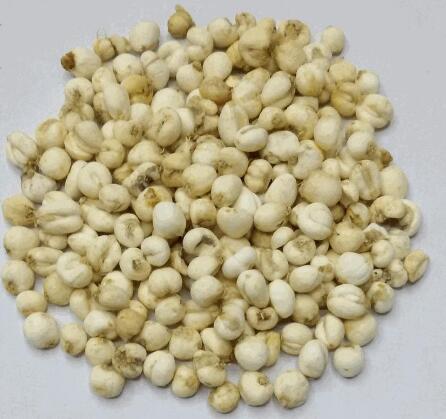 伊貝母(伊犁貝母) FRITILLARIAE PALLIDIFLORAE BULBUS