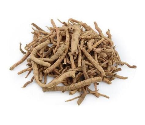 遠(yuǎn)志 POLYGALAE RADIX