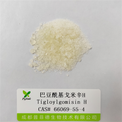 巴豆?；昝仔罤|66069-55-4