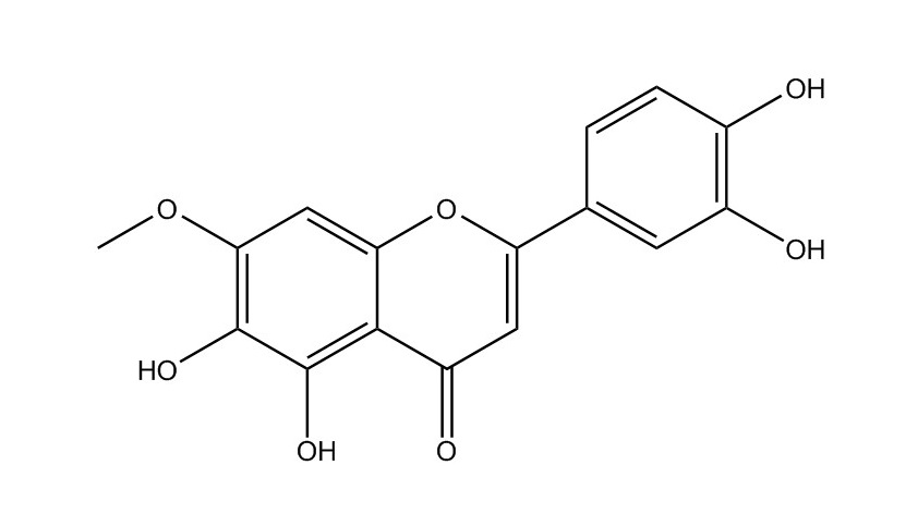胡麻素|22384-63-0